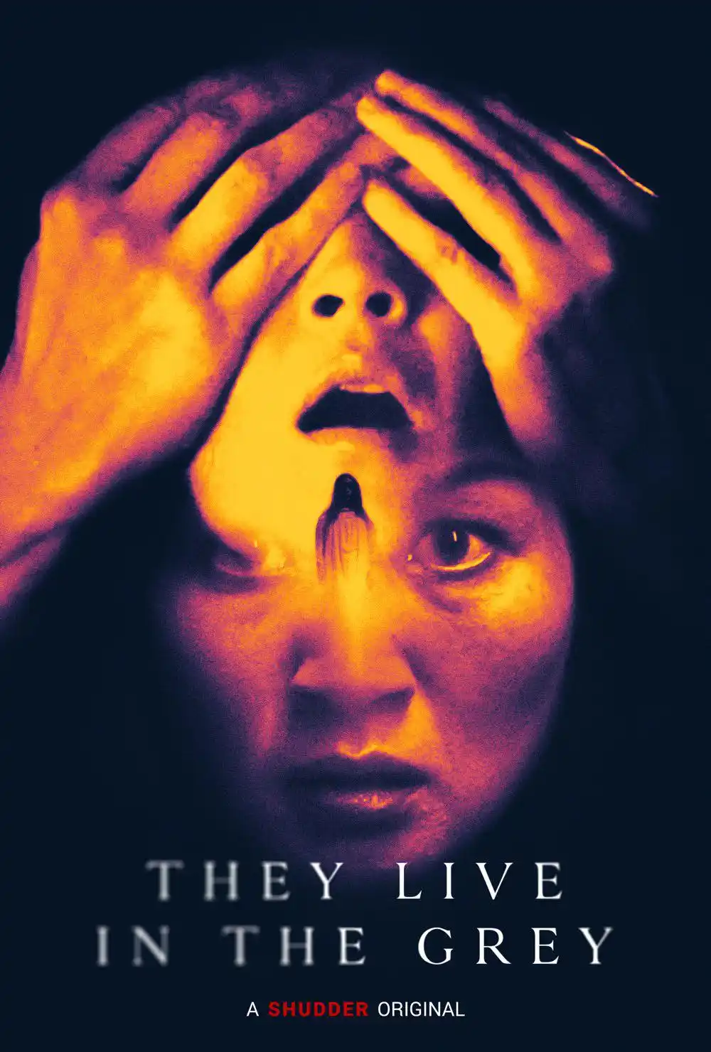 They Live in the Grey (2022) Hindi [Voice Over] Full Movie WEB-DL 720p