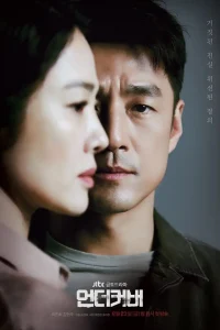 Undercover (Season 1) Dual Audio [Hindi + Korean] Complete Amazon Prime Series 480p | 720p