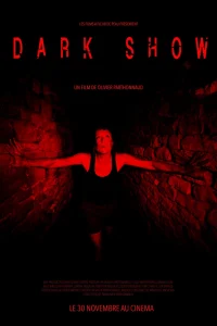 Dark Show (2016) Dual Audio [Hindi + English] WeB-DL 480p [280MB] | 720p