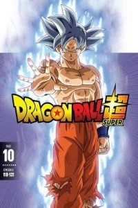 Download Dragon Ball Super (Season 4) Dual Audio {Hindi-English} Anime Series 480p | 720p | 1080p