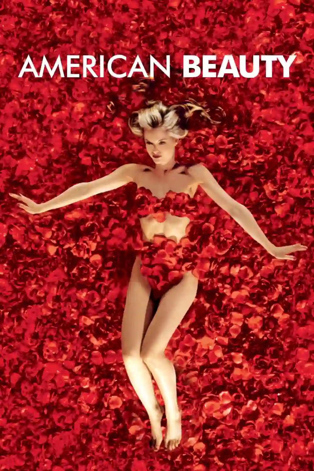 18+ American Beauty (1999) Dual Audio {Hindi-English} 480p || 720p || 1080p