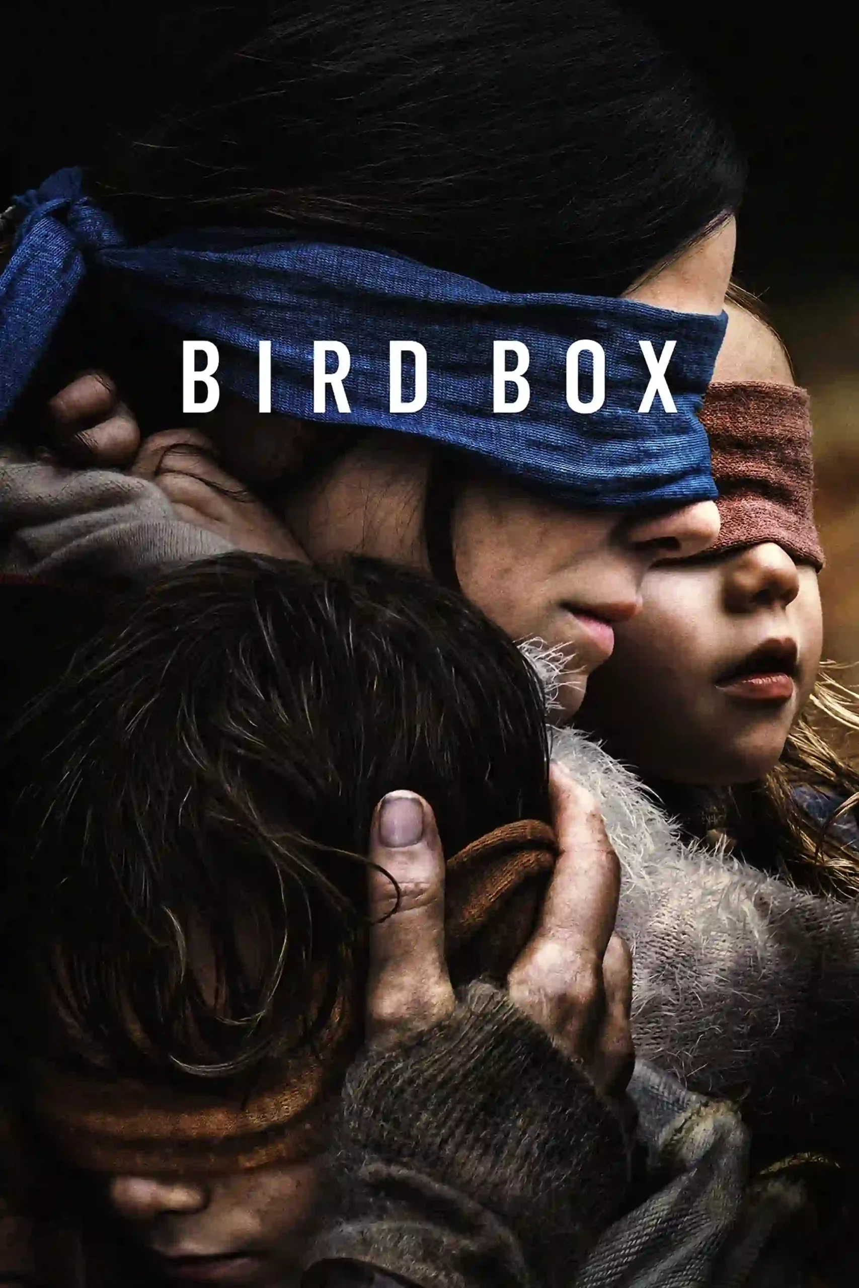 Bird Box (2022) English {Hindi Subtitles} Full Movie WEB-DL 480p [350MB] | 720p [1GB] | 1080p