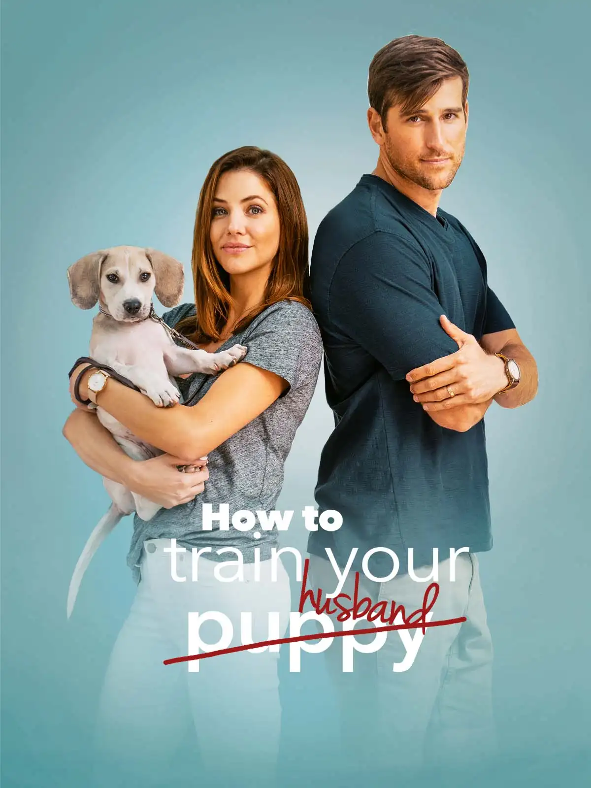 How to Train Your Husband (2018) Full Movie In (Hindi-English) 480p | 720p