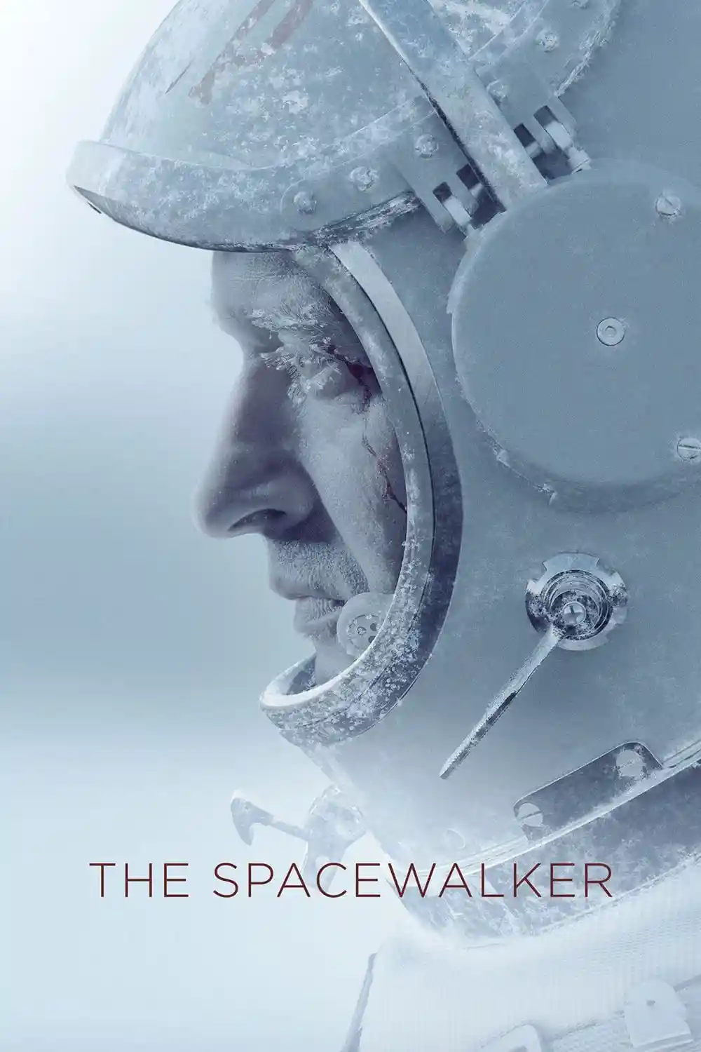 The Spacewalker (2017) Dual Audio [Hindi + English] WeB-DL 480p [450MB] | 720p | 1080p