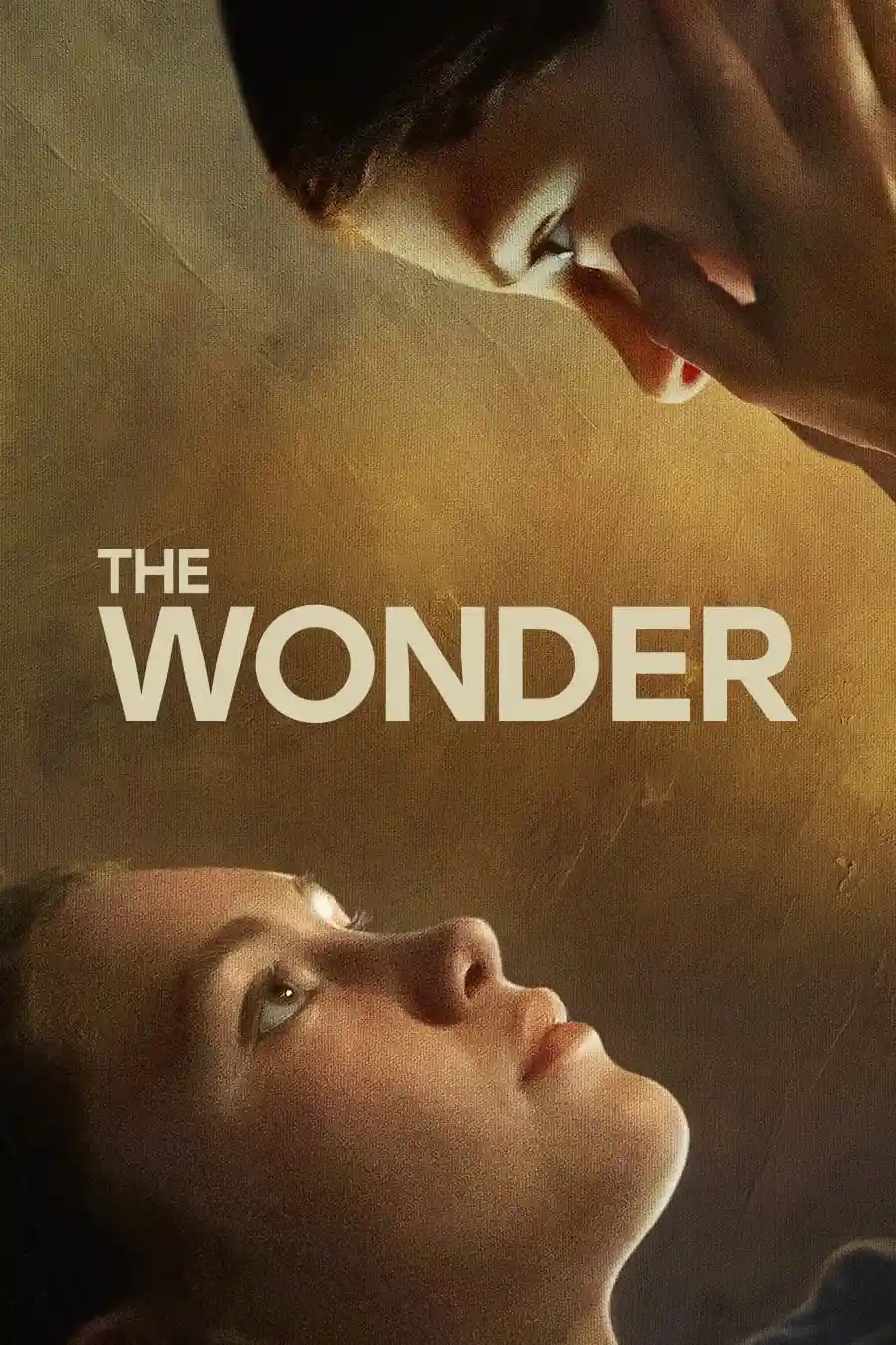 The Wonder – Netflix Original (2022) Dual Audio {Hindi-English} 480p [400MB] | 720p | 1080p