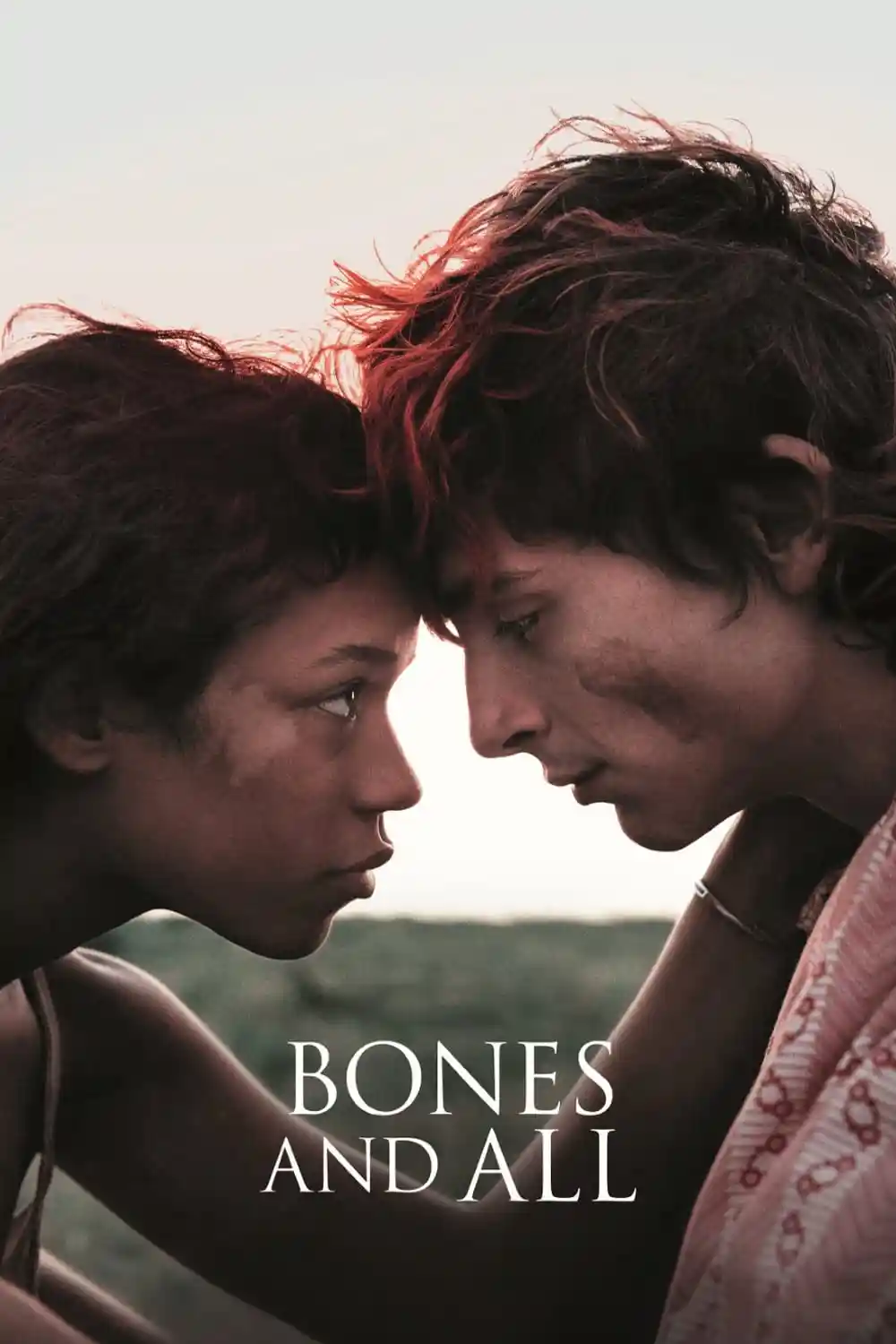 Bones and All (2022) Dual Audio [Hindi ORG. + English] WeB-DL 480p [350MB] | 720p [1.2GB] | 1080p [2.7GB]