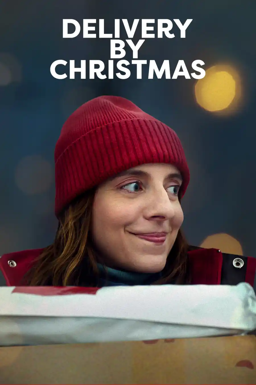 Delivery By Christmas (2022) WEB-DL Dual Audio {Hindi-English} 480p [400MB] | 720p [1.2GB] | 1080p