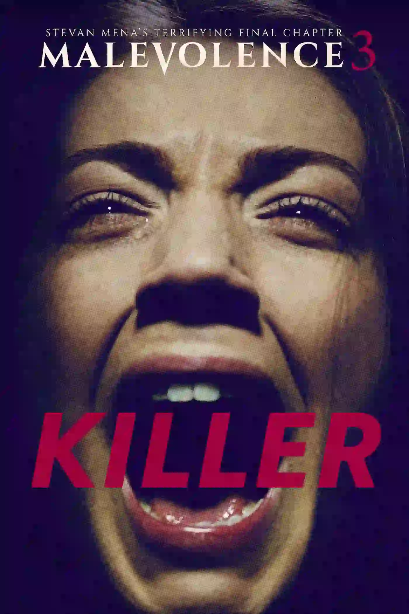 Malevolence 3: Killer (2018) Dual Audio {Hindi-English} 480p [300MB] | 720p [900MB] | 1080p