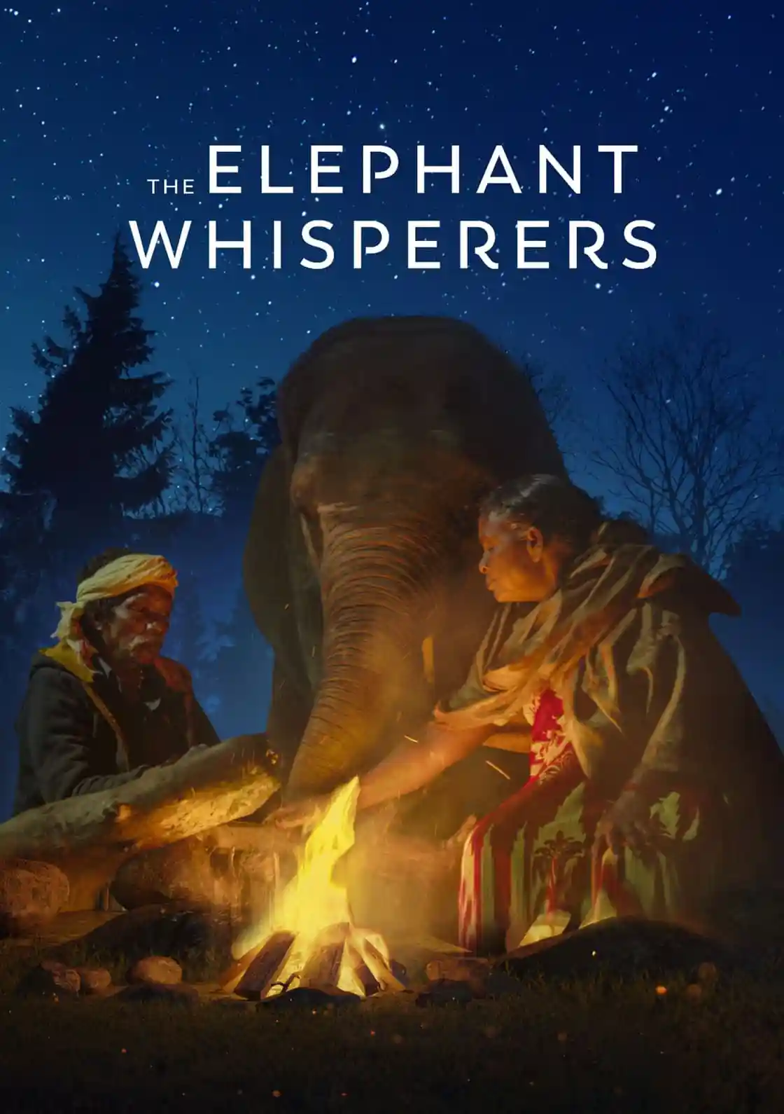 The Elephant Whisperers (2022) WEB-DL Dual Audio {Hindi-English} 480p [300MB] | 720p | 1080p