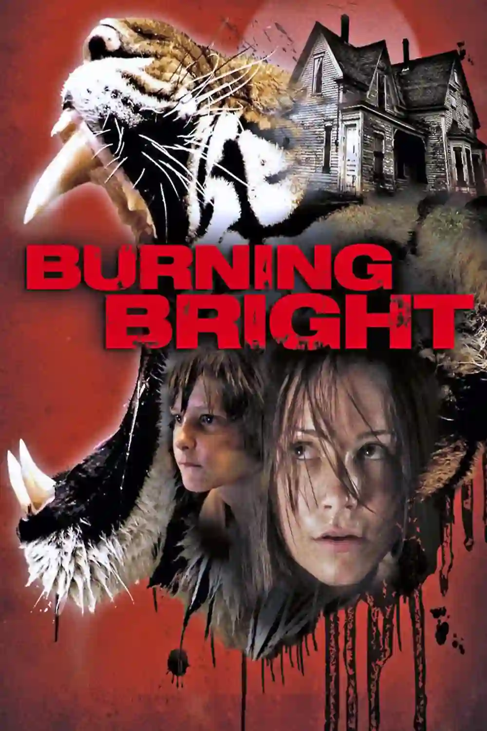 Download Burning Bright (2010) Dual Audio {Hindi-English} 480p [350MB] | 720p [1.2GB] | 1080p [1.6GB]