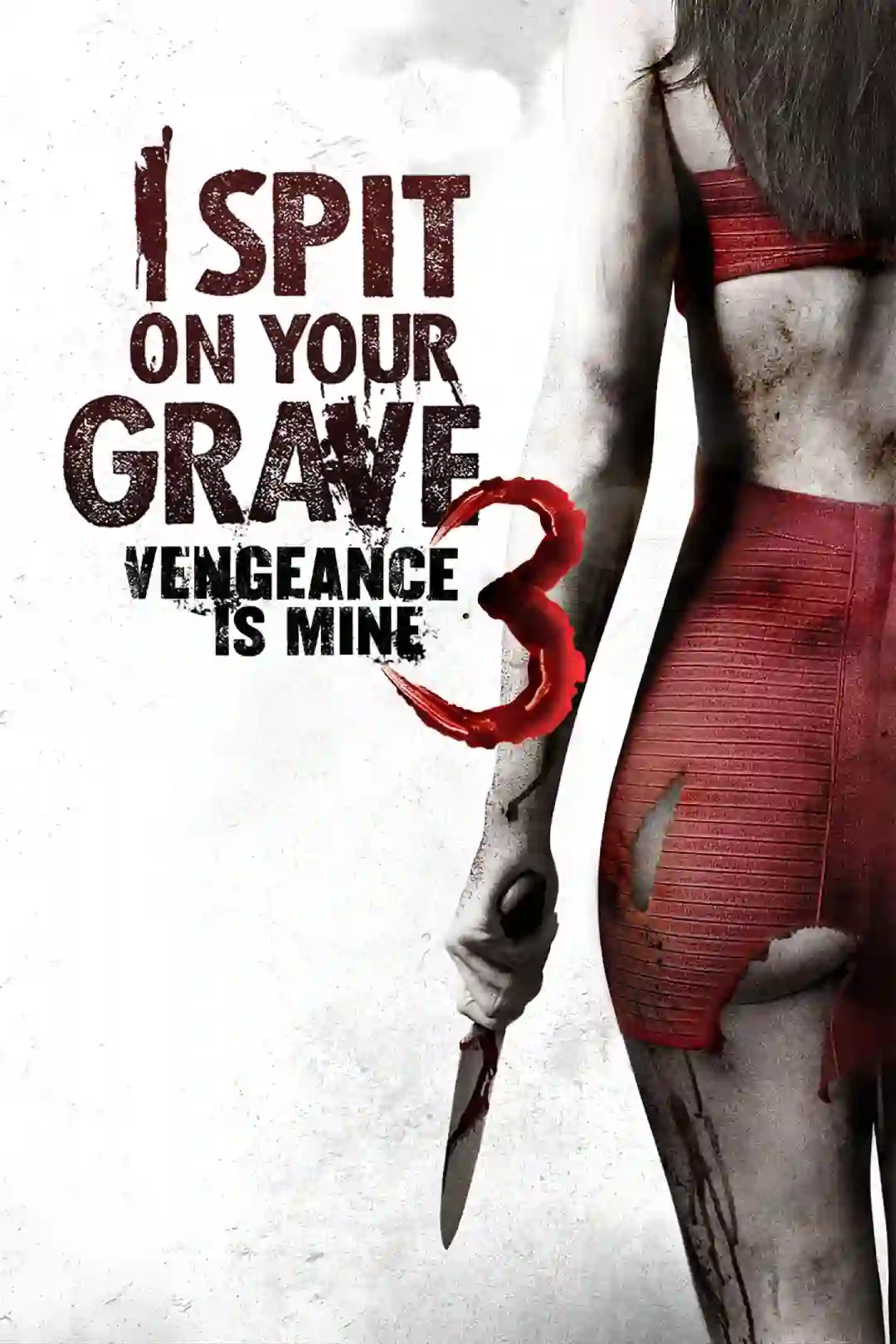 I Spit on Your Grave 3 Vengeance is Mine (2015) Full Movie {English With Subtitles} 480p [300MB] | 720p [700MB]