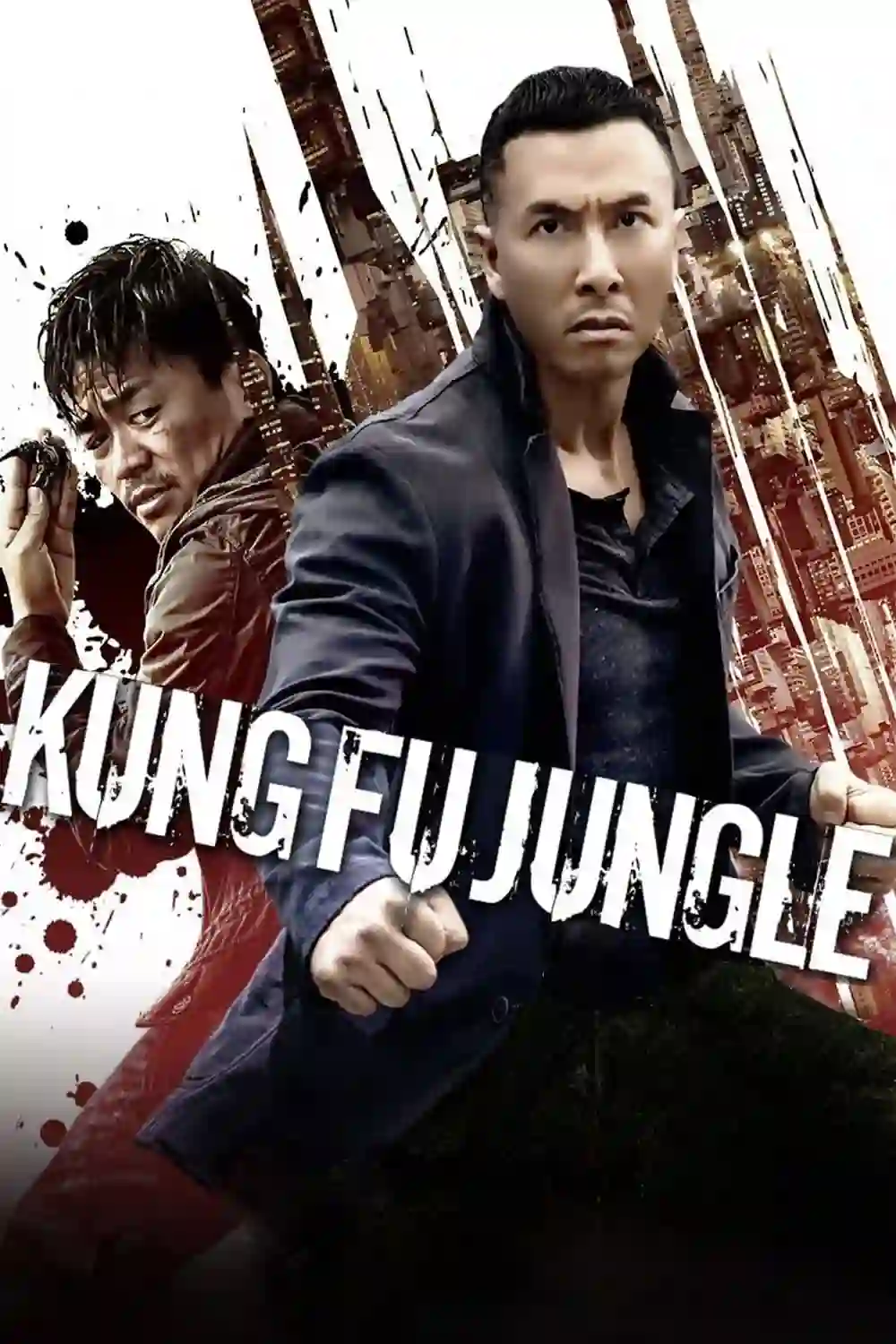 Download Kung Fu Jungle (2014) BluRay Dual Audio {Hindi-Chinese} 480p [400MB] | 720p [950MB] | 1080p [2GB]