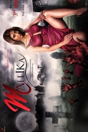 Download Mallika (2010) HDRip Hindi Full Movie 480p [300MB] | 720p [1GB] | 1080p [2.9GB]