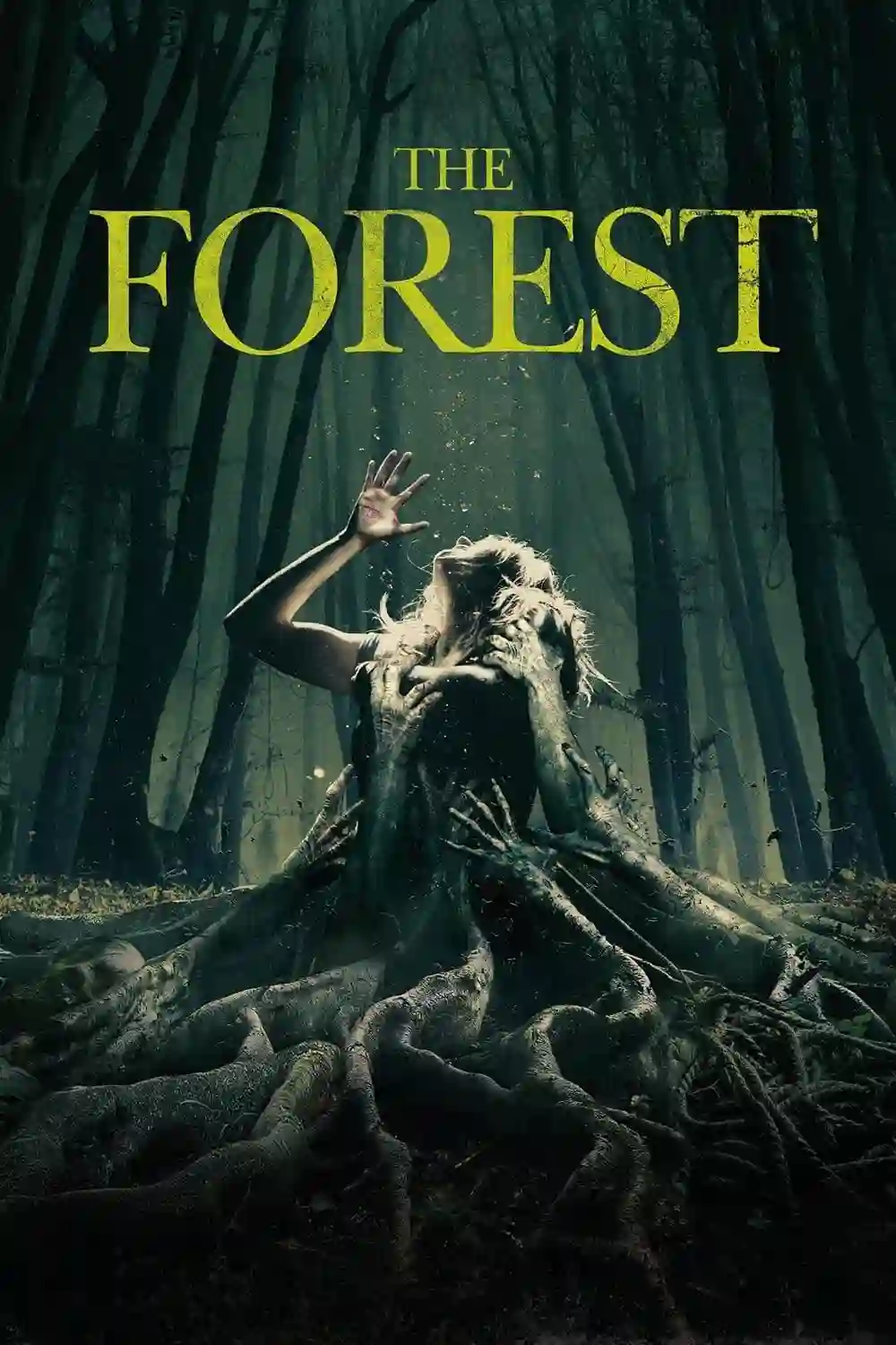 Download The Forest (2016) BluRay Dual Audio {Hindi-English} 480p [300MB] | 720p [850MB] | 1080p [2GB]