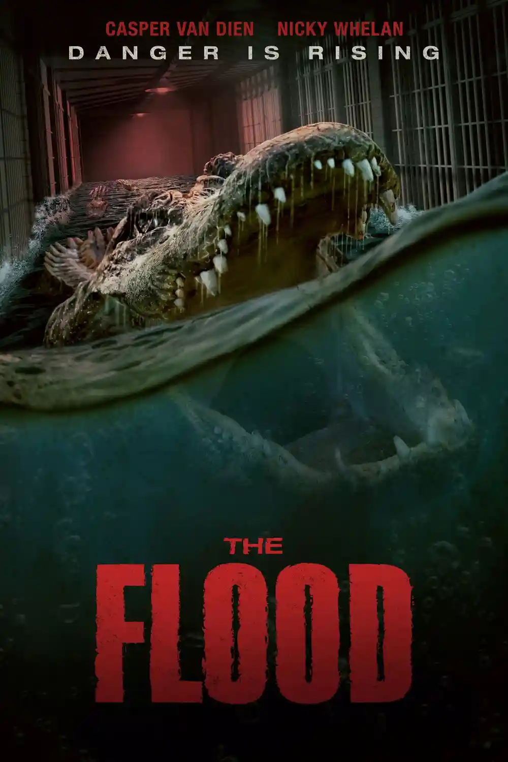 The Flood (2023) WEB-DL {English With Subtitles} Full Movie 480p [300MB] | 720p [750MB] | 1080p [1.8GB]