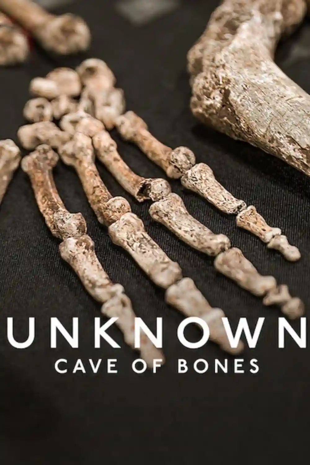 Unknown: Cave of Bones (2023) WEB-DL Dual Audio {Hindi-English} 480p [320MB] | 720p [850MB] | 1080p [2GB]