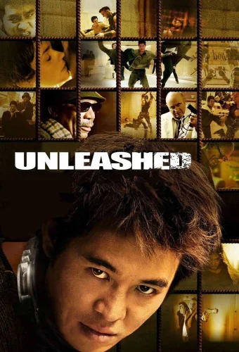 Download Unleashed (2005) BluRay Dual Audio {Hindi-English} 480p [350MB] | 720p [1GB] | 1080p [2.2GB]