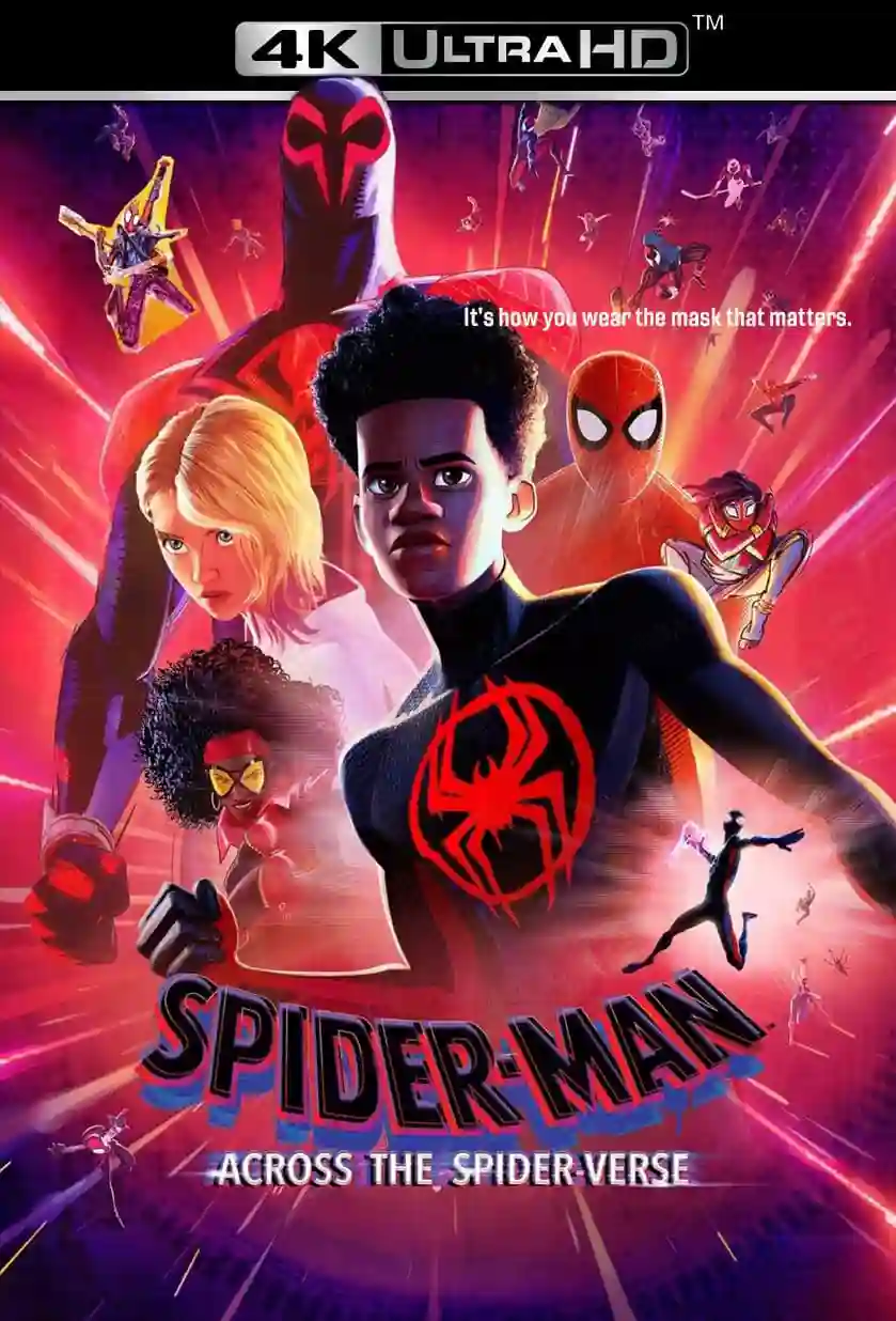 Spider-Man: Across the Spider-Verse (2023) Dual Audio [Hindi ORG. DD5.1+ English] WeB-DL 480p [450MB] | 720p [1.2GB] | 1080p [3GB] | 2160p [40GB] 4K SDR