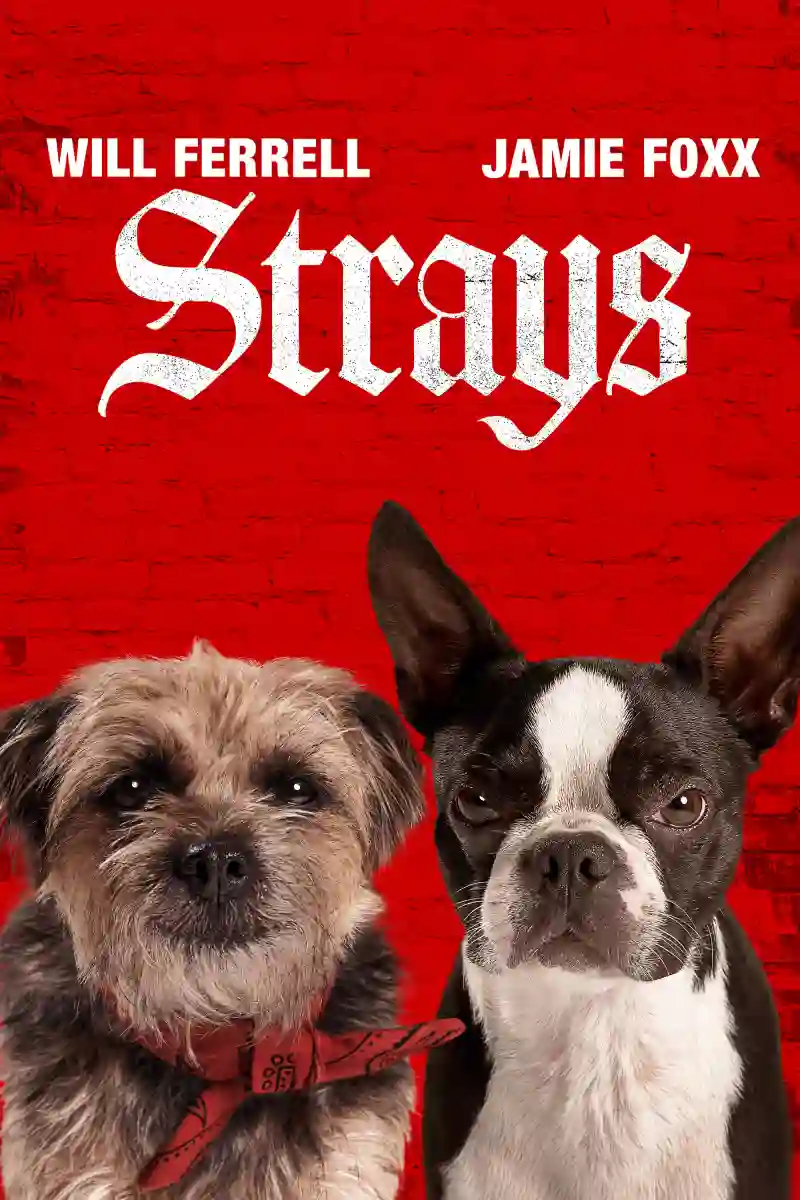 Download Strays (2023) WEB-DL {English With Subtitles} Full Movie 480p [300MB] | 720p [750MB] | 1080p [1.8GB]