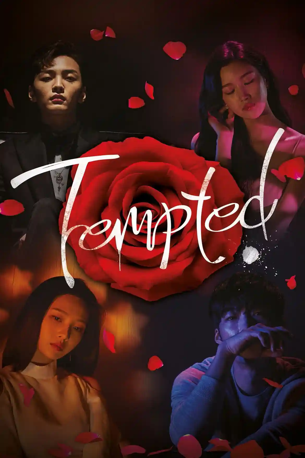 Download Tempted (Season 1 – Complete) Hindi Dubbed (ORG) Korean Drama Series 480p | 720p | 1080p WEB-DL