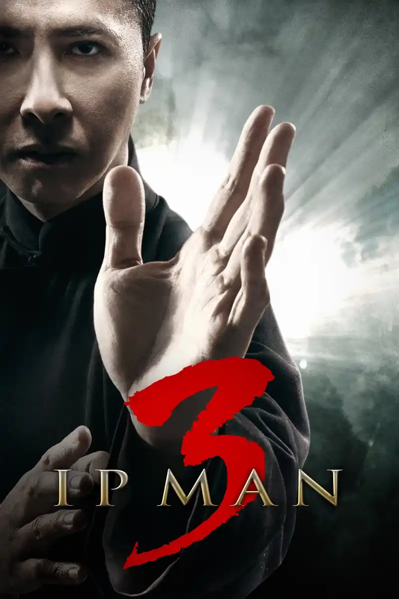 Download Ip Man 3 (2015) Dual Audio [Hindi + Chinese] WeB-DL 480p [350MB] | 720p [900MB] | 1080p [2.1GB]