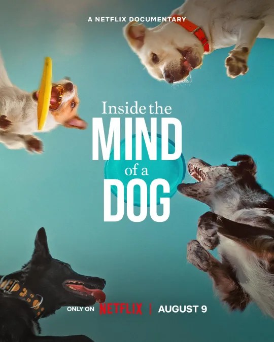 Download Inside The Mind Of A Dog (2024) WEB-DL Dual Audio {Hindi-English} 480p [250MB] | 720p [690MB] | 1080p [1.6GB]